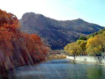 正版澳门天天开彩大全，双峰seo程序